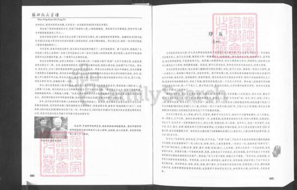 浙江省绍兴阮氏族谱-绍兴阮氏宗谱.pdf电子版预览图5