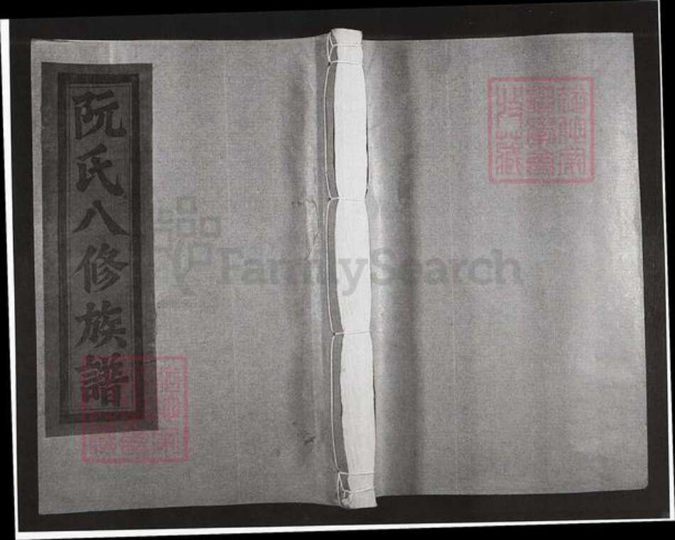 福建省漳州市漳浦县绥安镇阮氏族谱-绥安阮氏族谱.pdf电子版缩略图