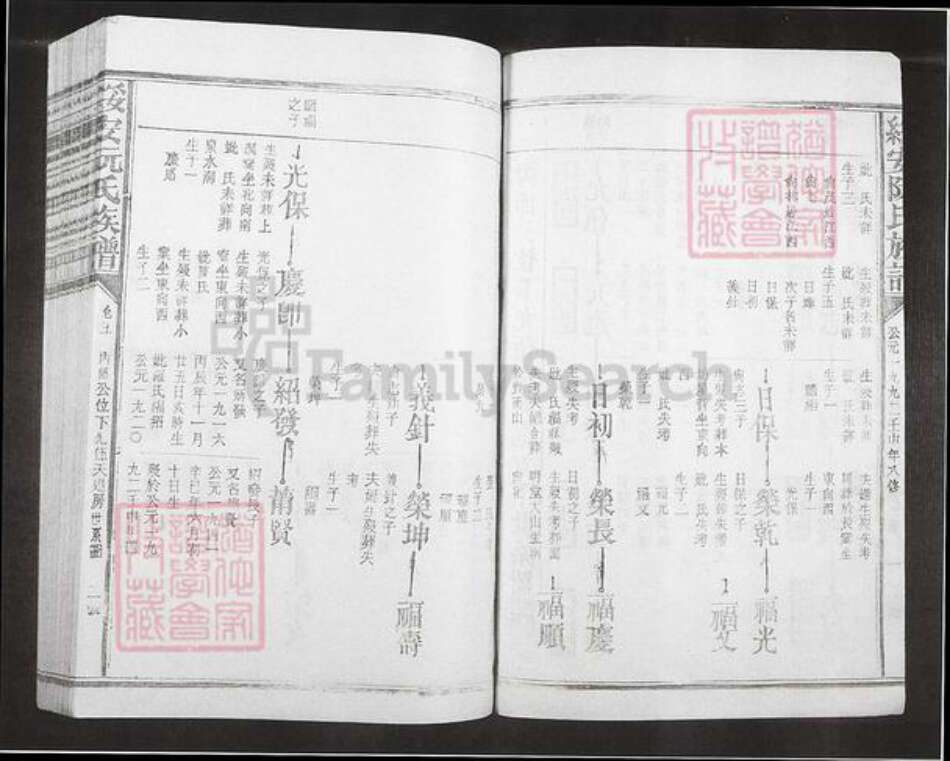 福建省漳州市漳浦县绥安镇阮氏族谱-绥安阮氏族谱.pdf电子版预览图1