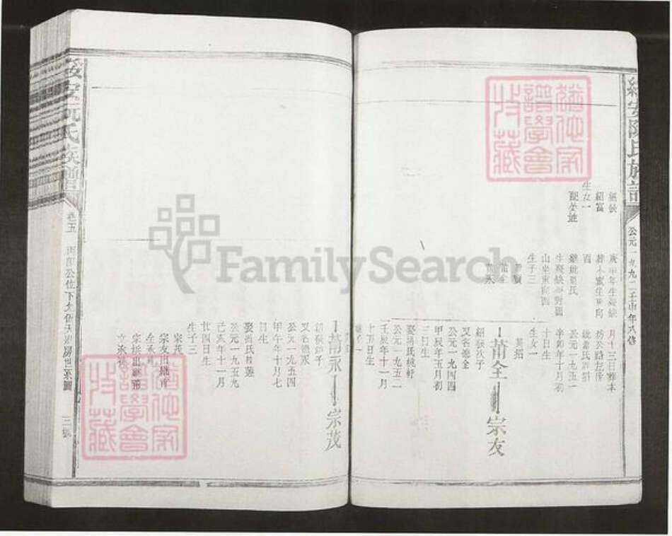 福建省漳州市漳浦县绥安镇阮氏族谱-绥安阮氏族谱.pdf电子版预览图2