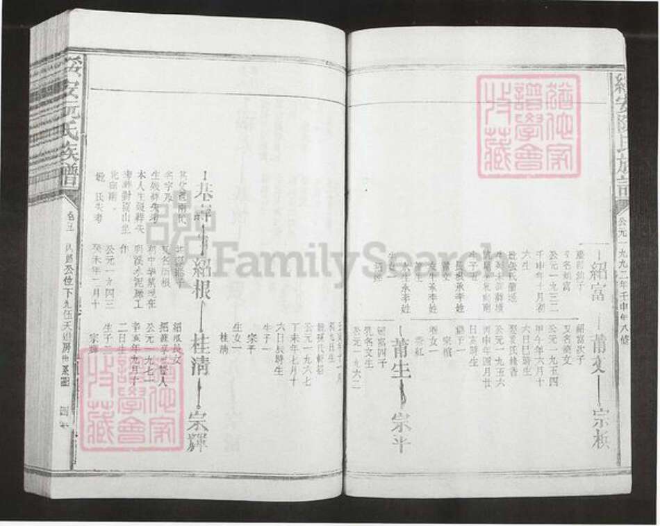 福建省漳州市漳浦县绥安镇阮氏族谱-绥安阮氏族谱.pdf电子版预览图3