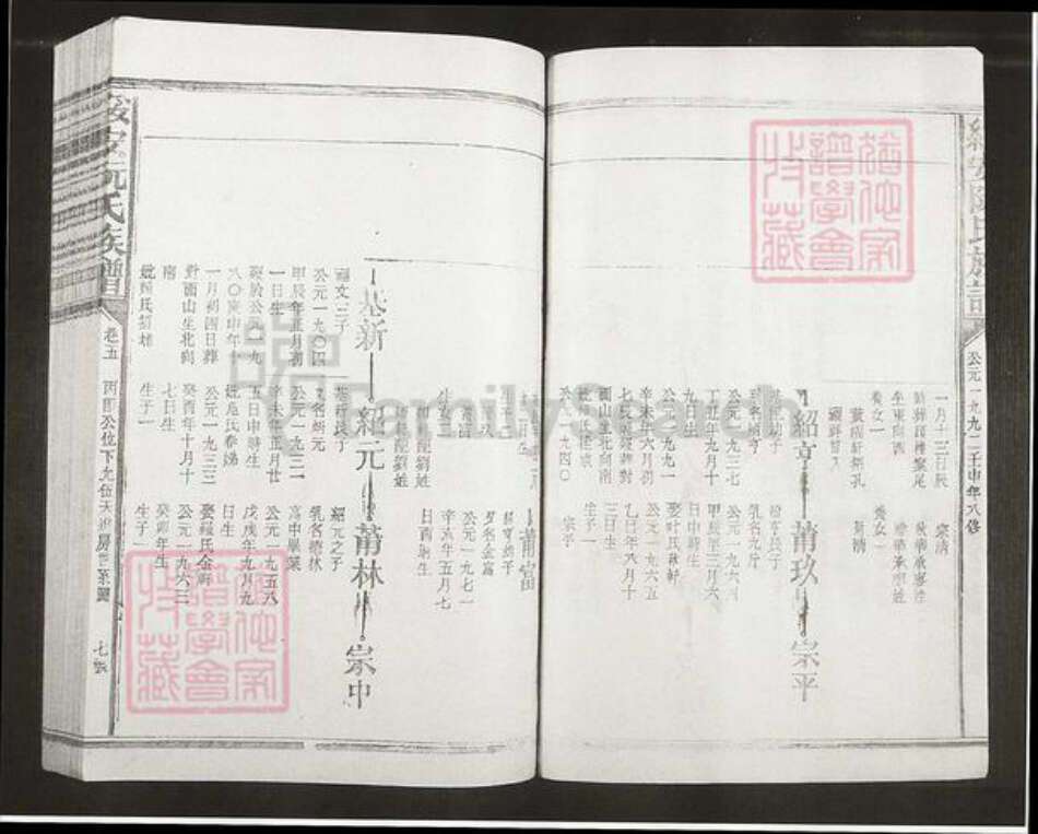 福建省漳州市漳浦县绥安镇阮氏族谱-绥安阮氏族谱.pdf电子版预览图5