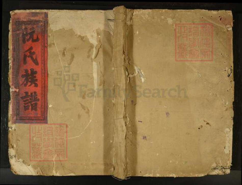 江西省阮氏族谱-绥安阮氏族谱[不分卷].pdf电子版缩略图