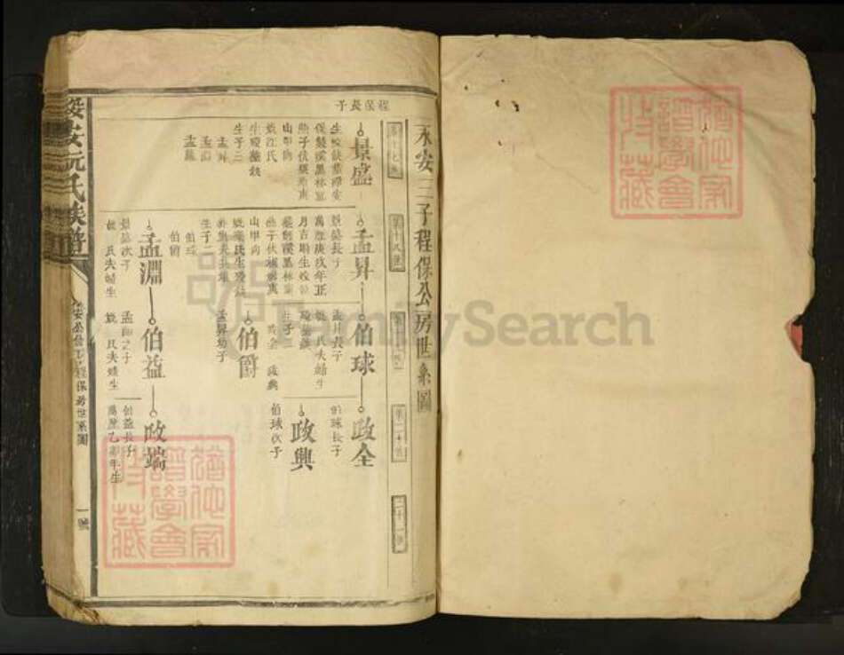 江西省阮氏族谱-绥安阮氏族谱[不分卷].pdf电子版预览图1