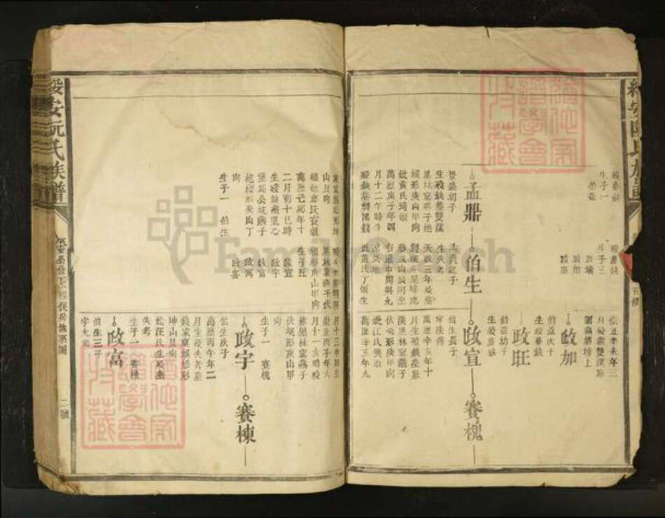 江西省阮氏族谱-绥安阮氏族谱[不分卷].pdf电子版预览图2