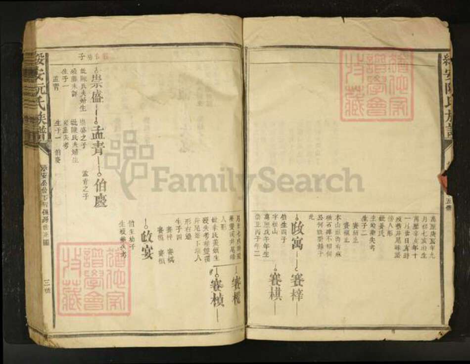 江西省阮氏族谱-绥安阮氏族谱[不分卷].pdf电子版预览图3