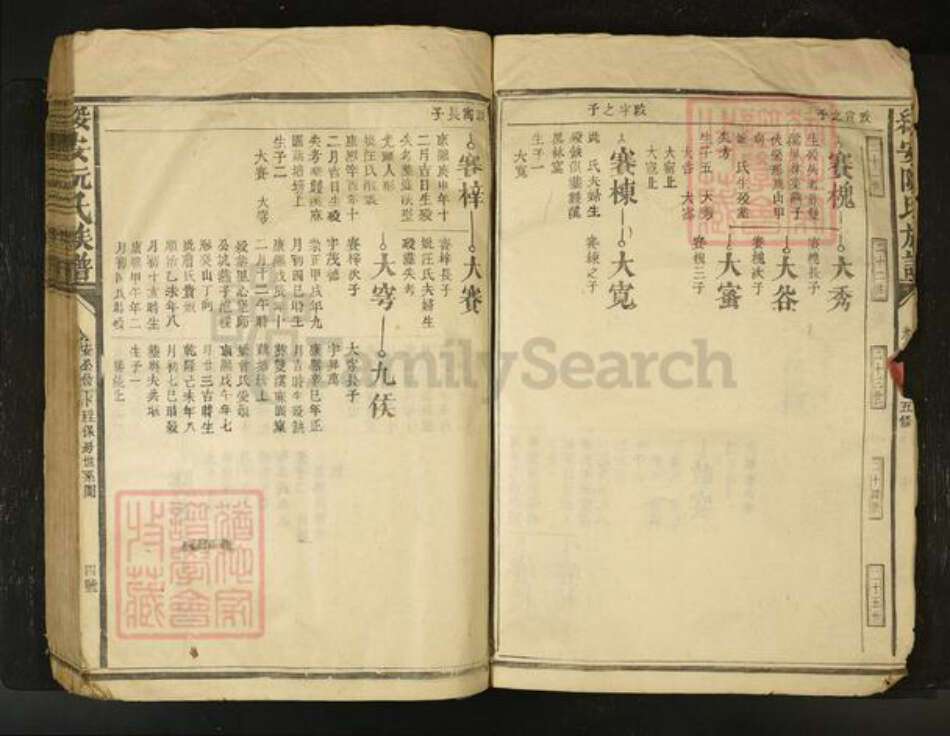 江西省阮氏族谱-绥安阮氏族谱[不分卷].pdf电子版预览图4