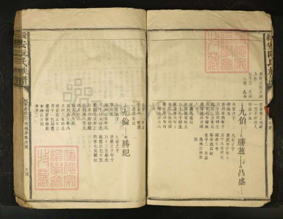 江西省阮氏族谱-绥安阮氏族谱[不分卷].pdf电子版预览图5