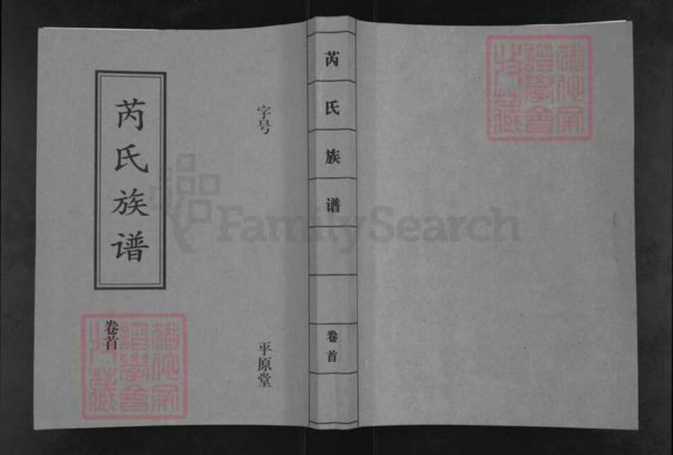 湖南省常德市汉寿县芮氏平原堂族谱-芮氏族谱.pdf电子版