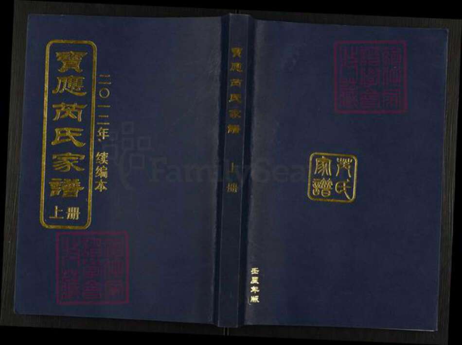 江苏省扬州市宝应县芮氏文化堂族谱-宝应芮氏家谱.pdf电子版