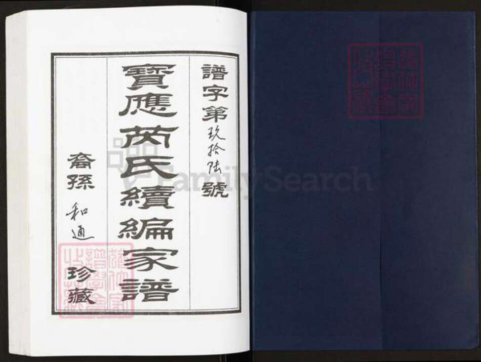 江苏省扬州市宝应县芮氏文化堂族谱-宝应芮氏家谱.pdf电子版预览图1