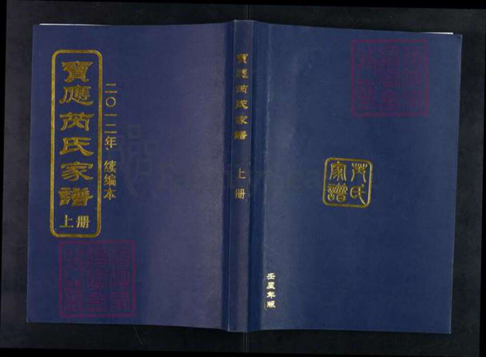 江苏省扬州市宝应县芮氏族谱-宝应芮氏家谱.pdf电子版