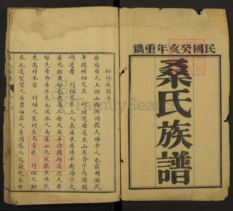 山东省泰安市宁阳县鹤山镇桑氏族谱-桑氏族谱.pdf电子版预览图1