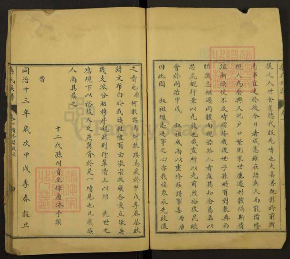 山东省泰安市宁阳县鹤山镇桑氏族谱-桑氏族谱.pdf电子版预览图4