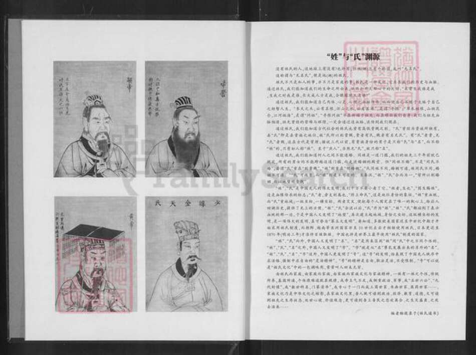 湖南省常德市桃源县九溪镇沙氏汝南堂族谱-湘鄂川陕粤沙氏族谱.pdf电子版预览图3