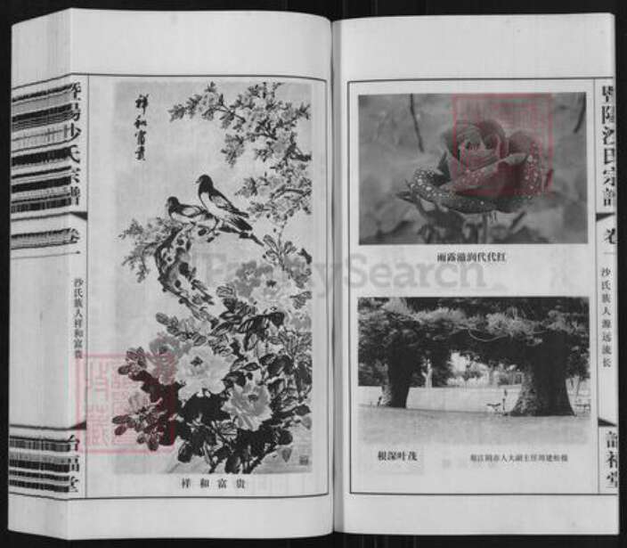 江苏省无锡市江阴市沙氏诒福堂族谱-暨阳沙氏宗谱.pdf电子版预览图3