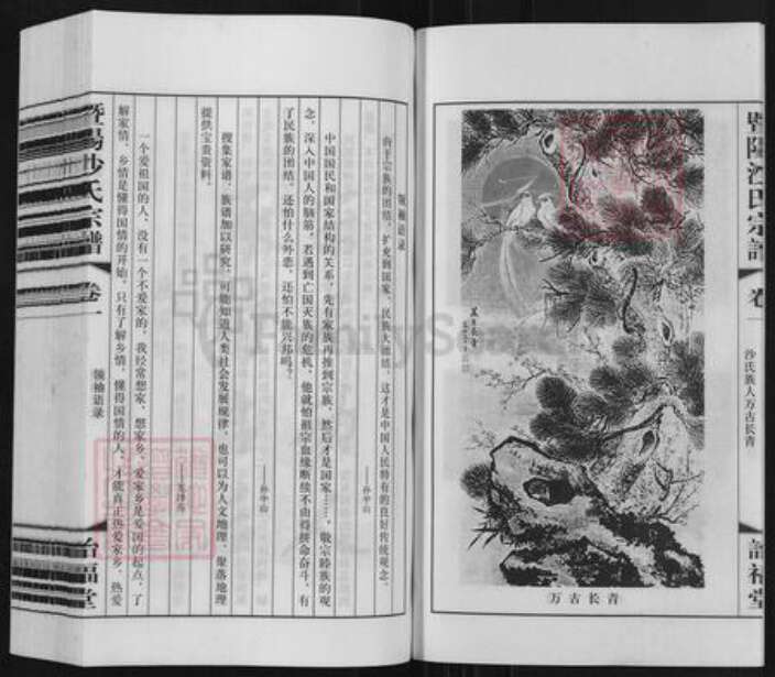 江苏省无锡市江阴市沙氏诒福堂族谱-暨阳沙氏宗谱.pdf电子版预览图4