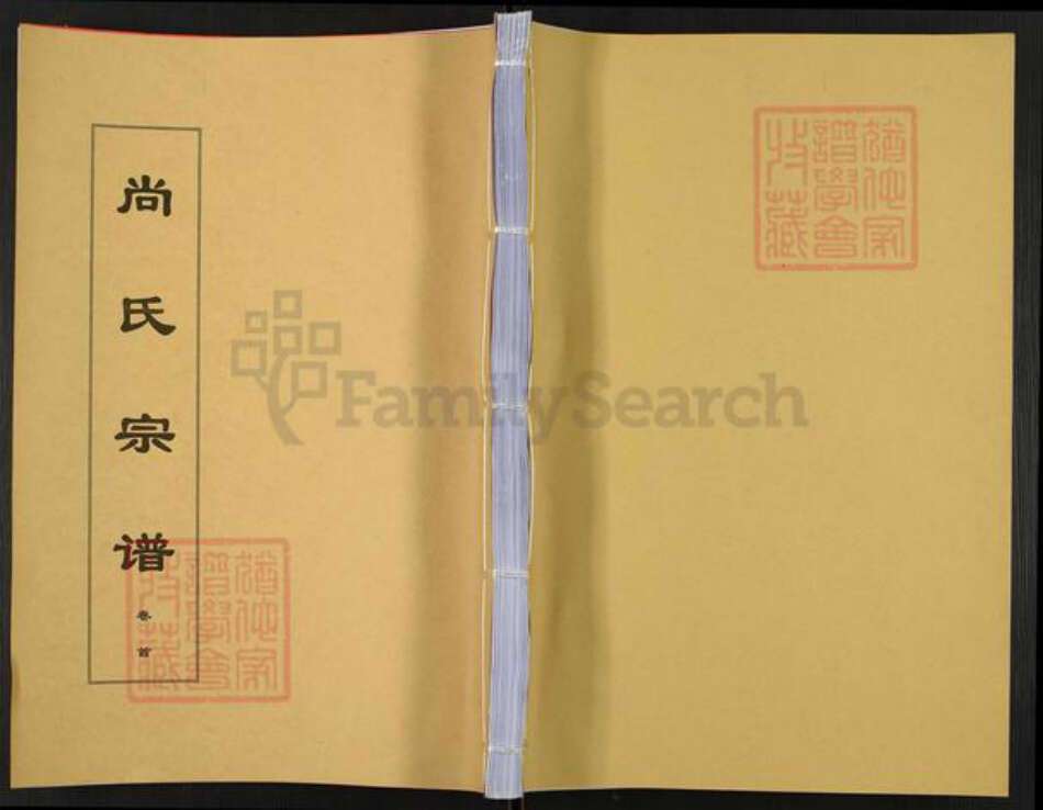安徽省安庆市望江县华阳镇尚氏飞熊堂族谱-尚氏宗谱.pdf电子版缩略图