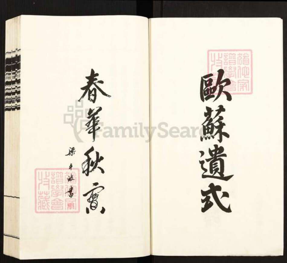 浙江省杭州市萧山区邵氏燕诒堂族谱-萧山邵氏宗谱.pdf电子版预览图2