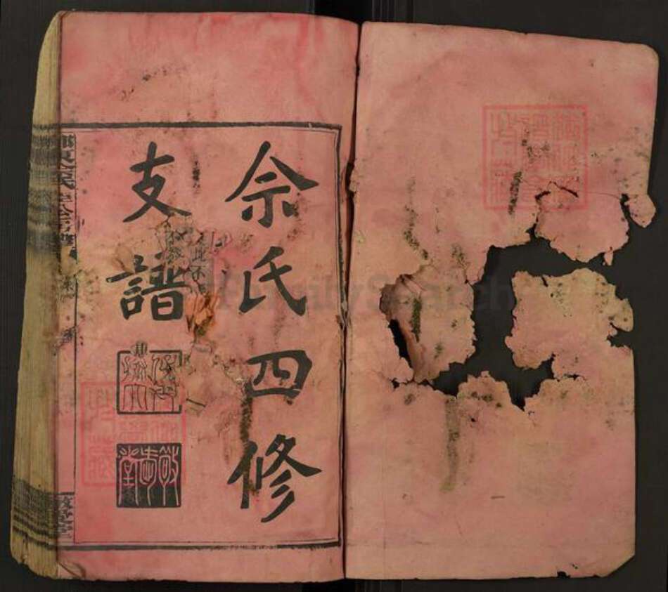 湖南省邵阳市邵东佘氏敬爱堂族谱-邵东佘氏臣公房谱.pdf电子版预览图1