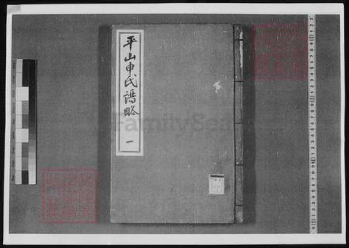 直隶石家庄申氏族谱-平山申氏谱略.pdf电子版缩略图