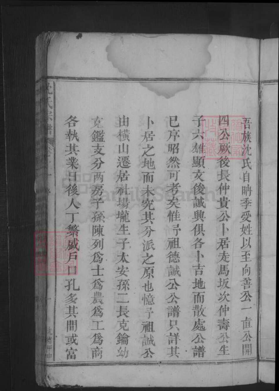 江西省九江市湖口县沈氏族谱-沈氏宗谱.pdf电子版预览图3