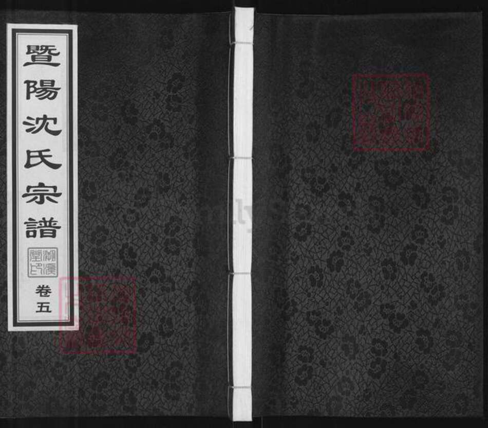 江苏省无锡市江阴市城东街道沈氏溯溪堂族谱-暨阳沈氏宗谱.pdf电子版缩略图