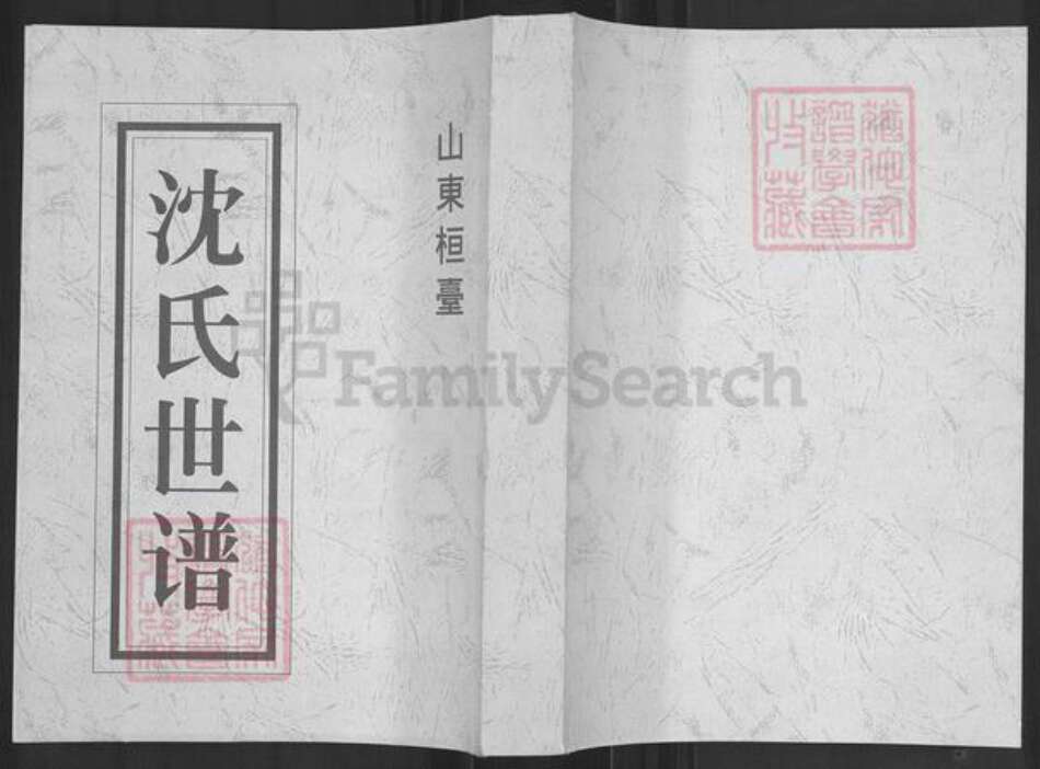 山东省淄博市桓台县新城镇沈氏族谱-山东桓台沈氏世谱.pdf电子版缩略图