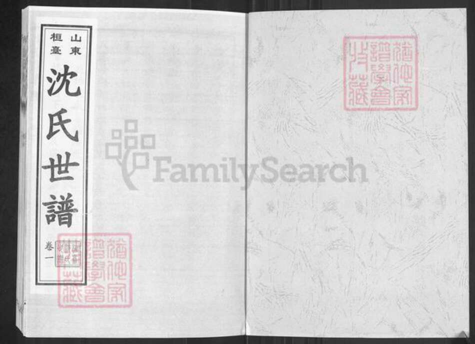 山东省淄博市桓台县新城镇沈氏族谱-山东桓台沈氏世谱.pdf电子版预览图1