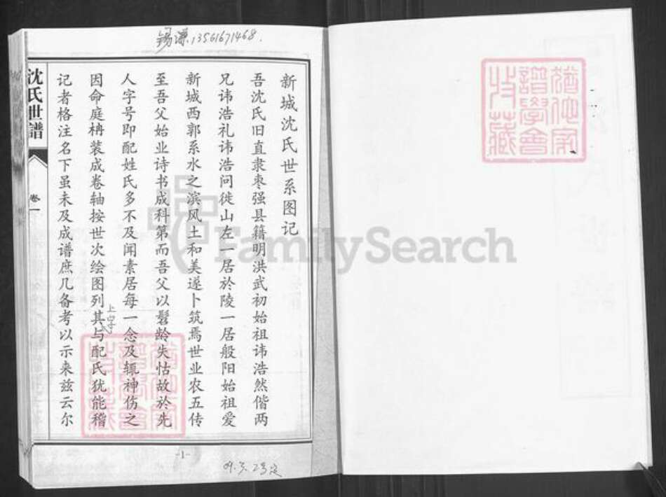 山东省淄博市桓台县新城镇沈氏族谱-山东桓台沈氏世谱.pdf电子版预览图2