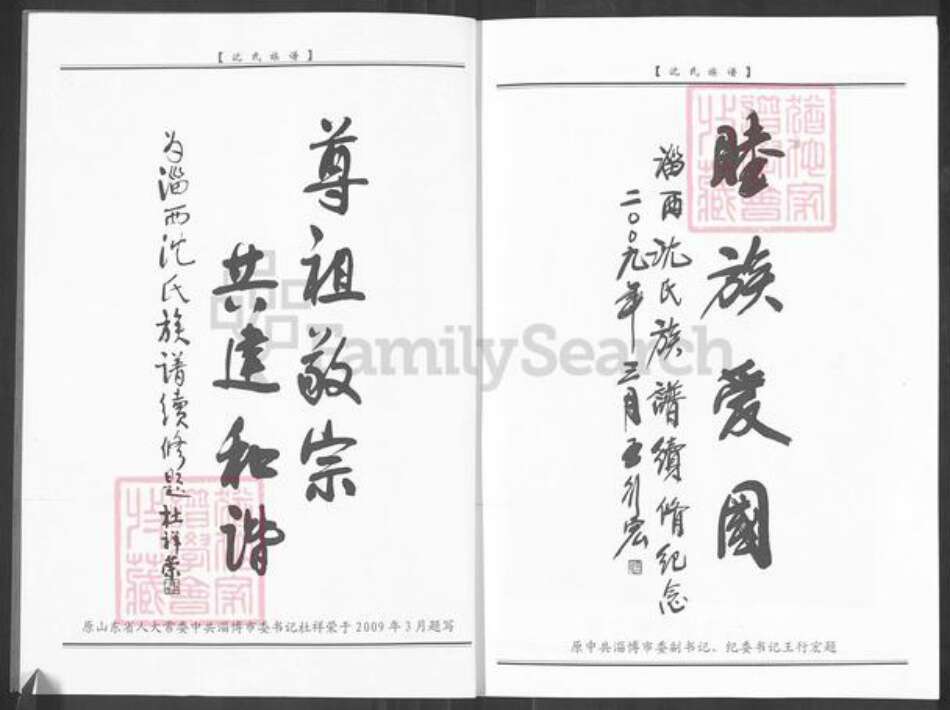 山东省淄博市周村区沈氏族谱-淄西沈氏族谱.pdf电子版预览图2