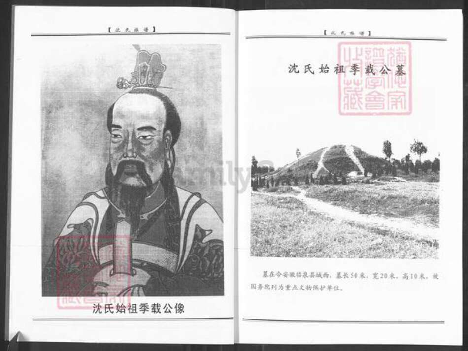 山东省淄博市周村区沈氏族谱-淄西沈氏族谱.pdf电子版预览图3