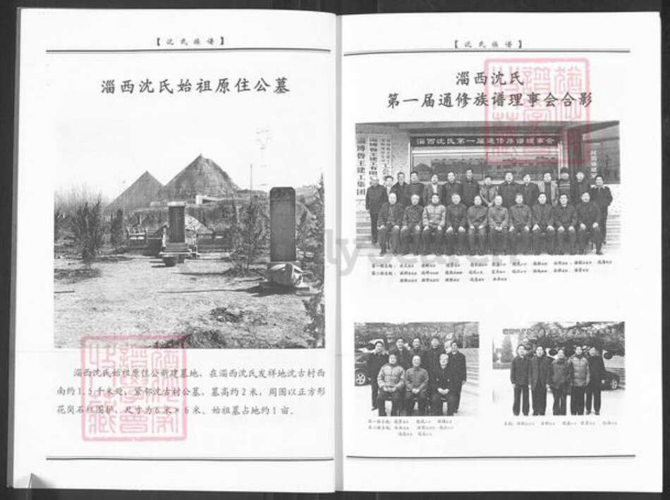 山东省淄博市周村区沈氏族谱-淄西沈氏族谱.pdf电子版预览图4