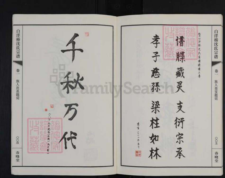 江苏省常州市天宁区郑陆镇沈氏春晓堂族谱-白洋桥沈氏宗谱.pdf电子版预览图4