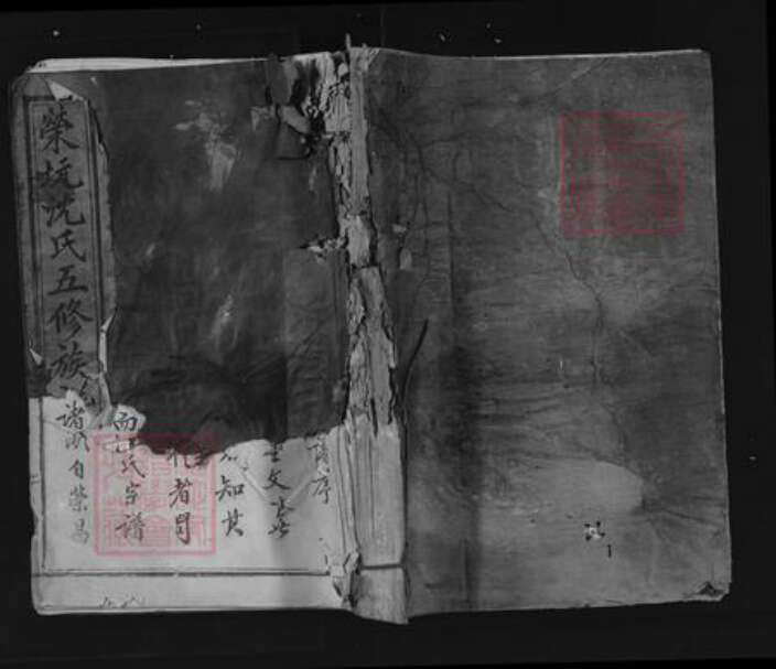 江西省赣州市瑞金市瑞林镇沈氏族谱-荣坑沈氏五修族谱.pdf电子版缩略图