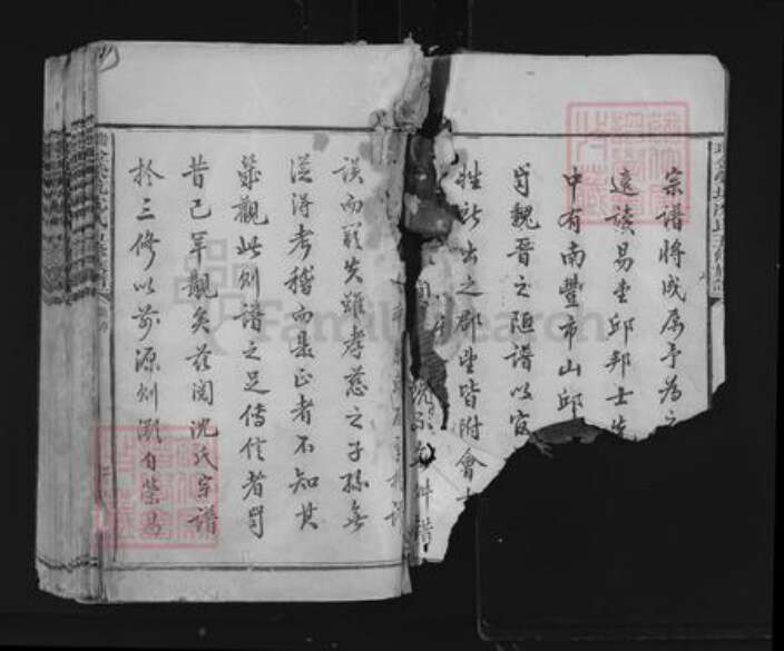 江西省赣州市瑞金市瑞林镇沈氏族谱-荣坑沈氏五修族谱.pdf电子版预览图2