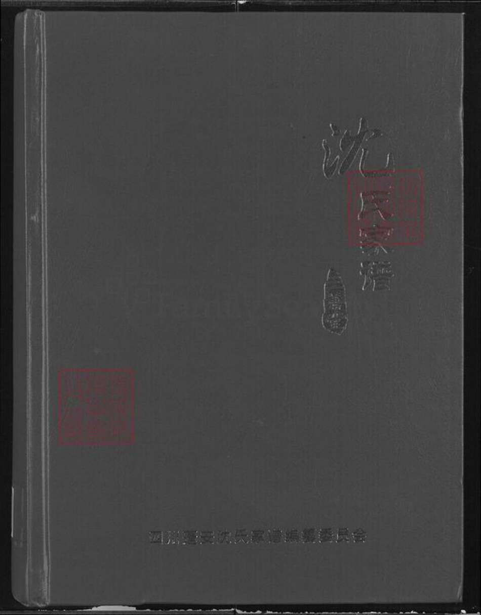 四川省南充市蓬安县相如街道沈氏三善堂族谱-沈氏家谱.pdf电子版缩略图