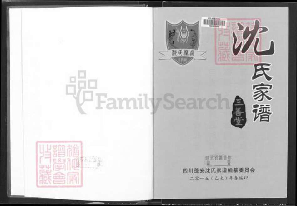 四川省南充市蓬安县相如街道沈氏三善堂族谱-沈氏家谱.pdf电子版预览图2