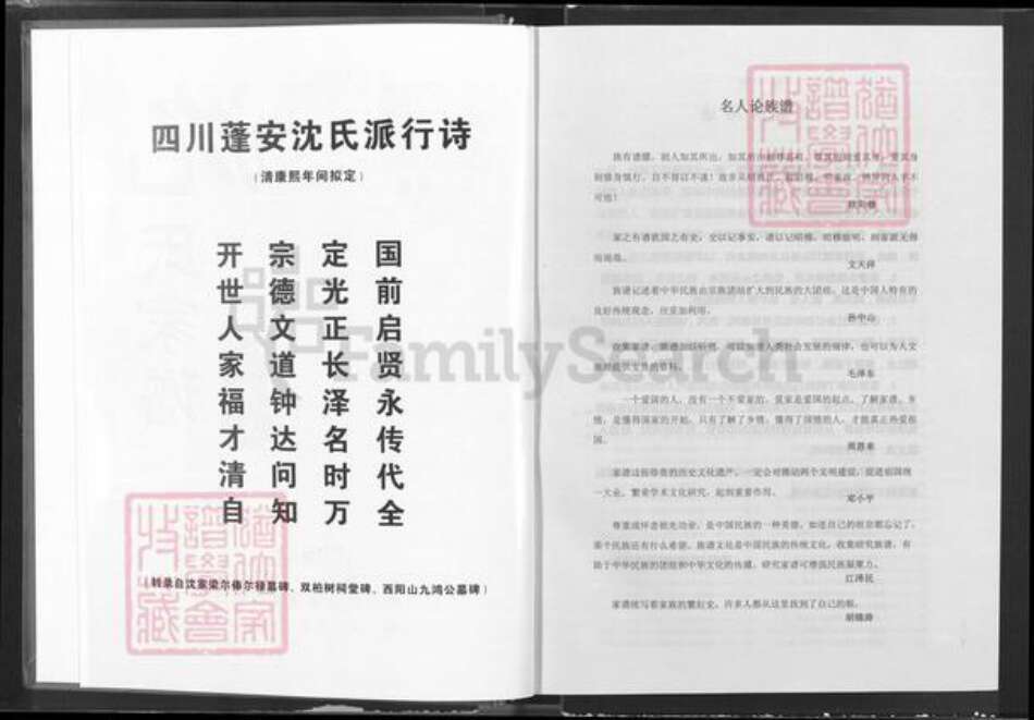 四川省南充市蓬安县相如街道沈氏三善堂族谱-沈氏家谱.pdf电子版预览图3