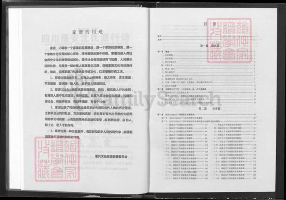 四川省南充市蓬安县相如街道沈氏三善堂族谱-沈氏家谱.pdf电子版预览图4