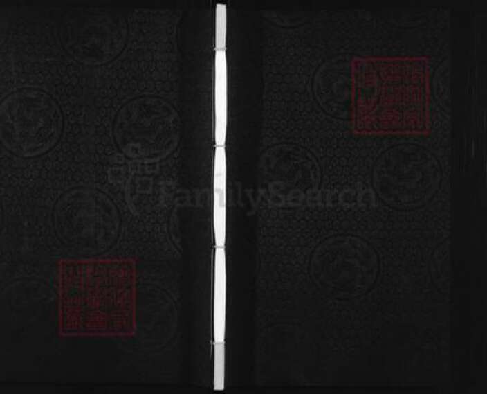 河北省沧州黄骅市黄骅镇沈氏族谱-沈氏宗谱.pdf电子版缩略图