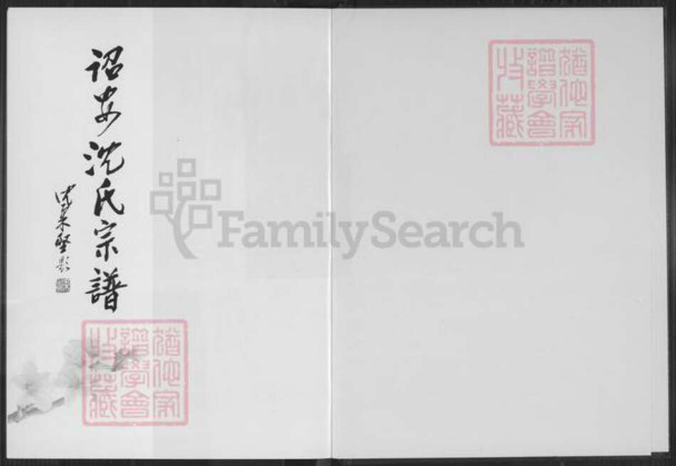 福建省漳州市诏安县南诏镇沈氏族谱-诏安沈氏宗谱.pdf电子版预览图1