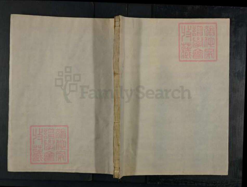 浙江省金华市兰溪市沈氏族谱-庄湖沈氏宗谱.pdf电子版缩略图