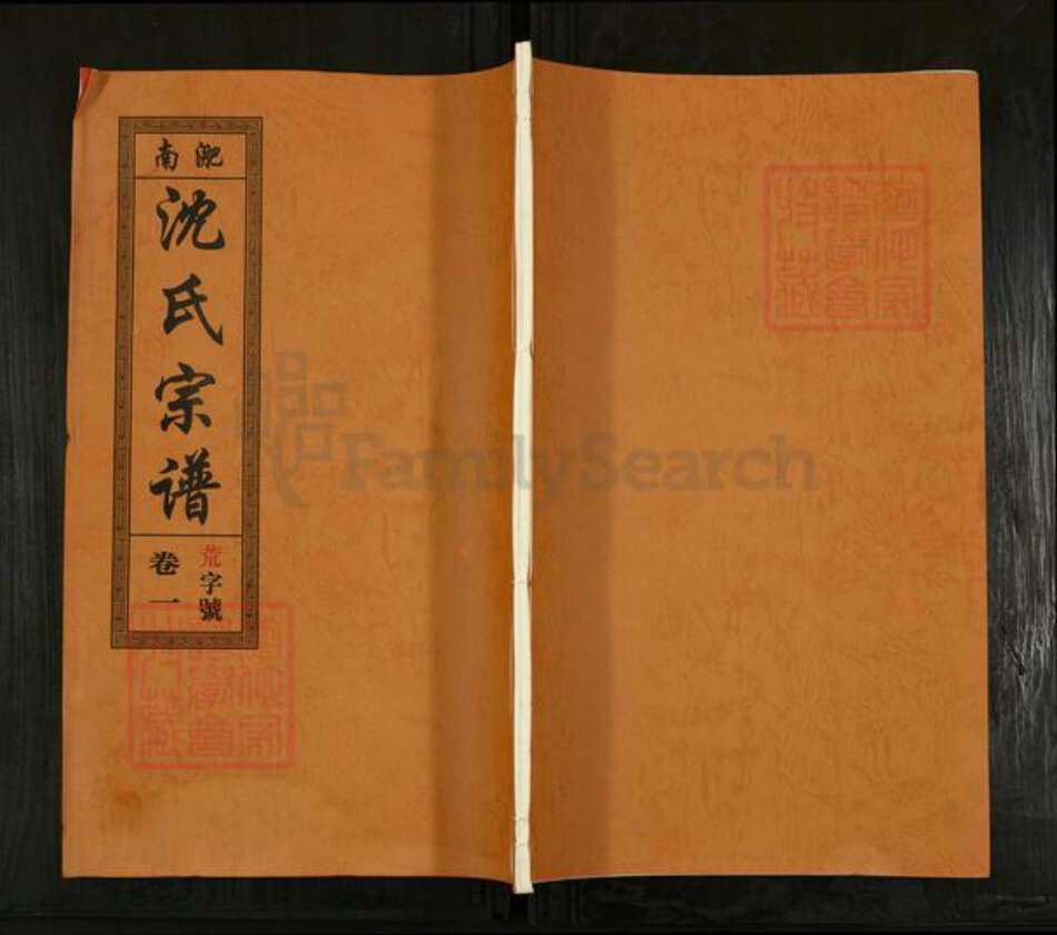 安徽省合肥市沈氏吉庆堂族谱-沈氏宗谱.pdf电子版缩略图