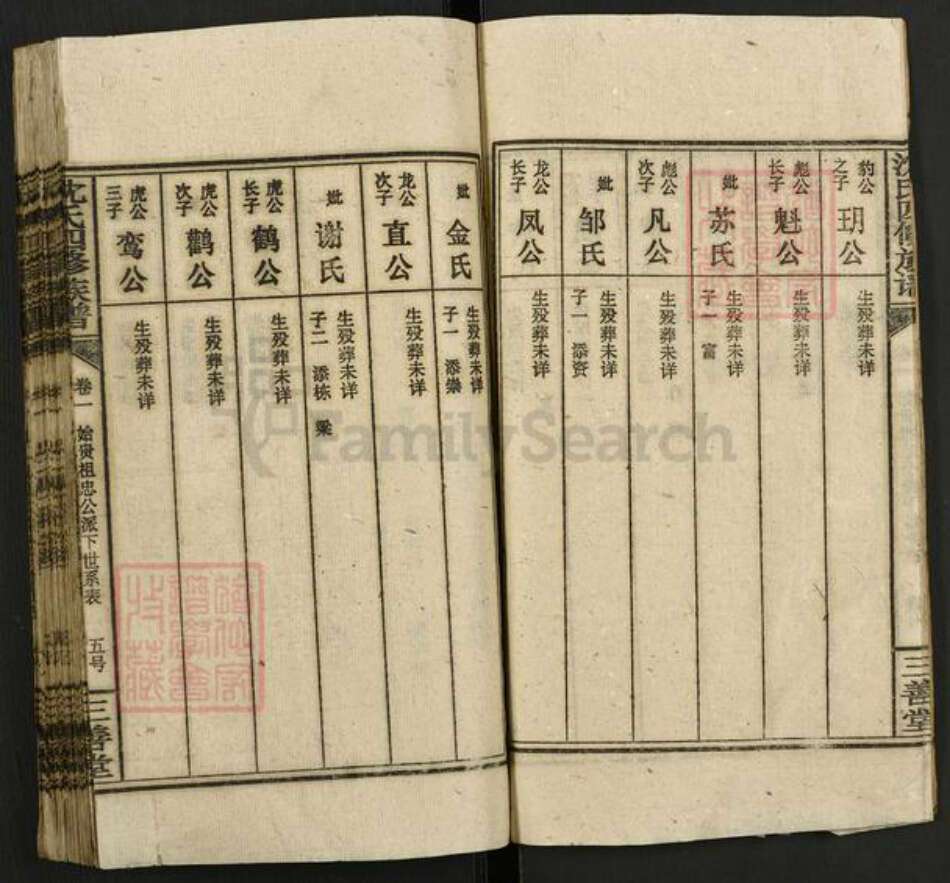 湖南省邵阳市邵东市沈氏三善堂族谱-沈氏四修族谱.pdf电子版预览图5