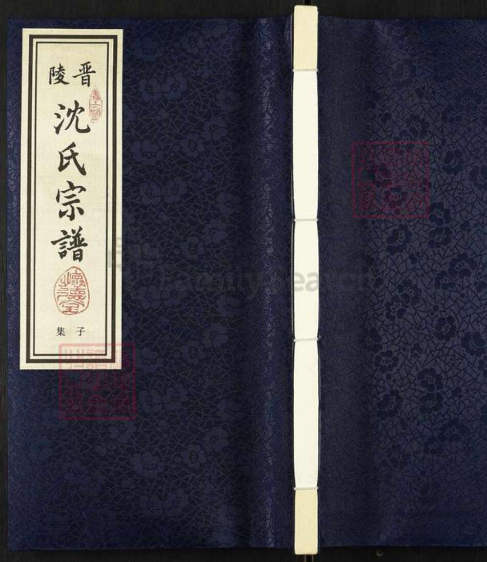 江苏省常州市武进县横林镇沈氏怀德堂族谱-晋陵(常州) 沈氏宗谱.崔桥文照支.pdf电子版缩略图