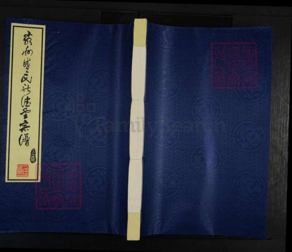 浙江省杭州市建德市洋溪街道盛氏新德堂族谱-严州盛氏新德堂宗谱.pdf电子版缩略图