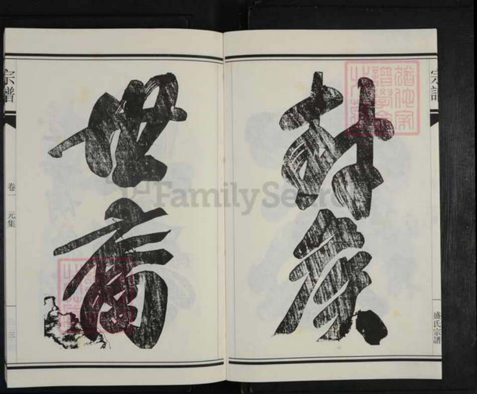 浙江省杭州市建德市洋溪街道盛氏新德堂族谱-严州盛氏新德堂宗谱.pdf电子版预览图3