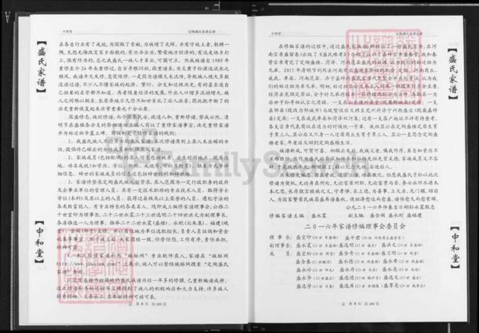 山东省菏泽市定陶区盛氏中和堂族谱-盛氏家谱.山东菏泽定陶盛楼.pdf电子版预览图5