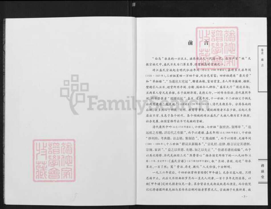 江苏省泰州市靖江市盛氏务滋堂族谱-靖江盛氏宗谱.pdf电子版预览图3